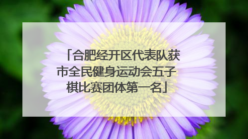 合肥经开区代表队获市全民健身运动会五子棋比赛团体第一名